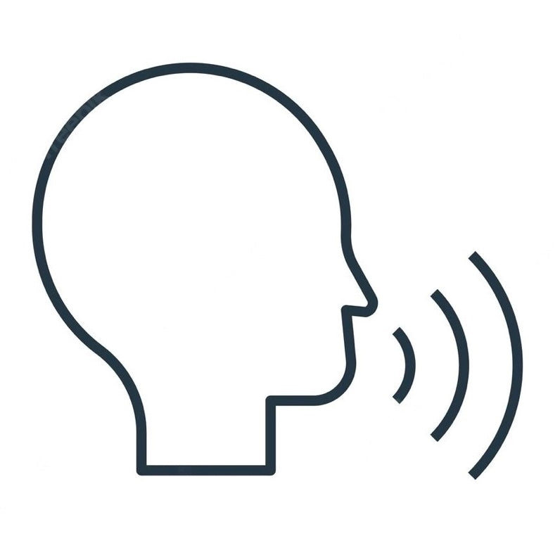 Talking Toys Mom and Pop Culture Collectibles