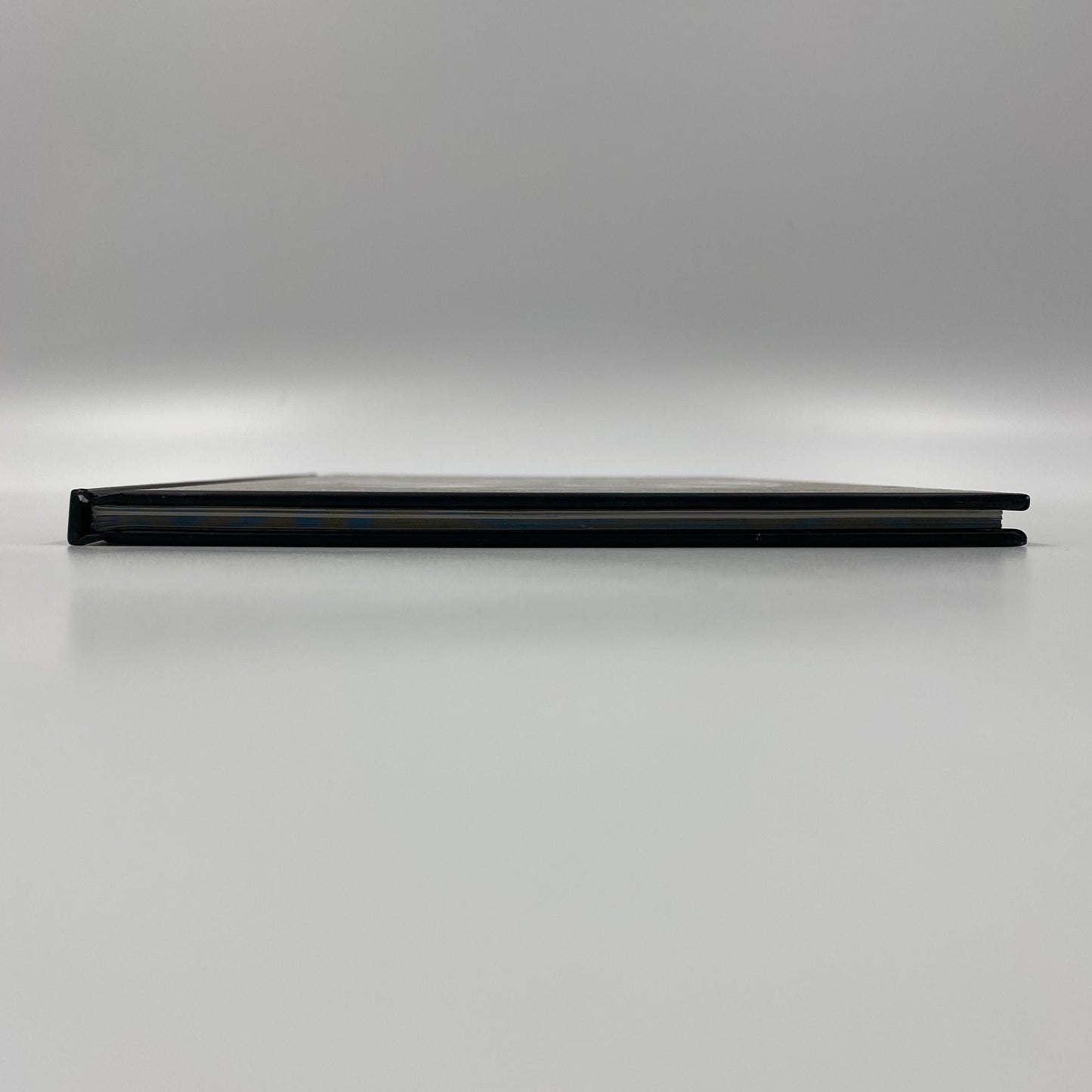 The Facts in the Case of the Departure of Miss Finch first edition hardcover (2008) Dark Horse