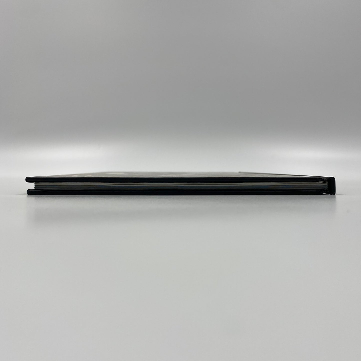 The Facts in the Case of the Departure of Miss Finch first edition hardcover (2008) Dark Horse