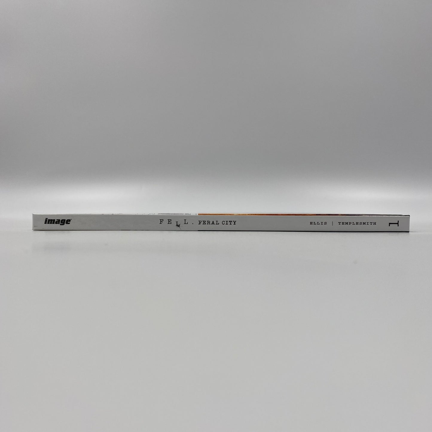 Fell hardcover (2007) Image