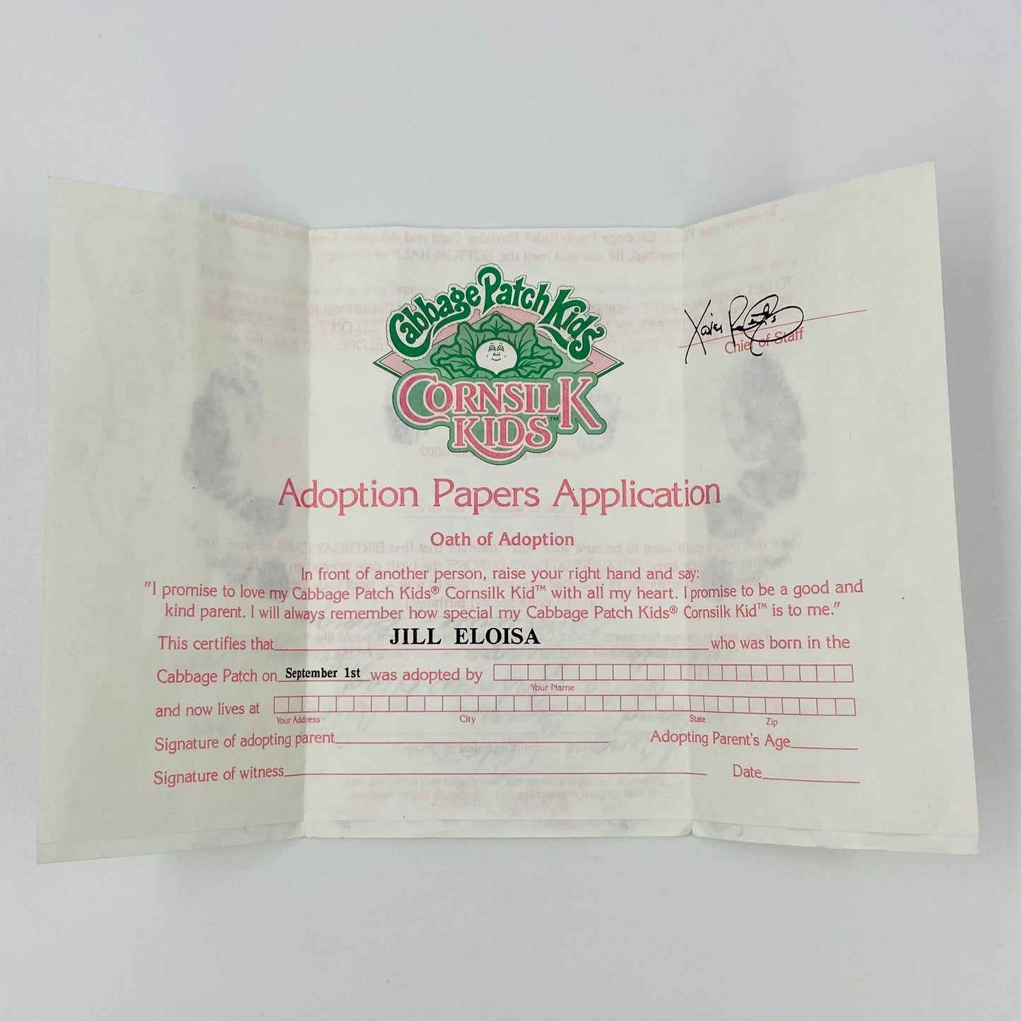 Cabbage Patch Kids Cornsilk Kids Jill Eloisa September 1st Birth Certificate & Adoption Papers Application (1986) Coleco