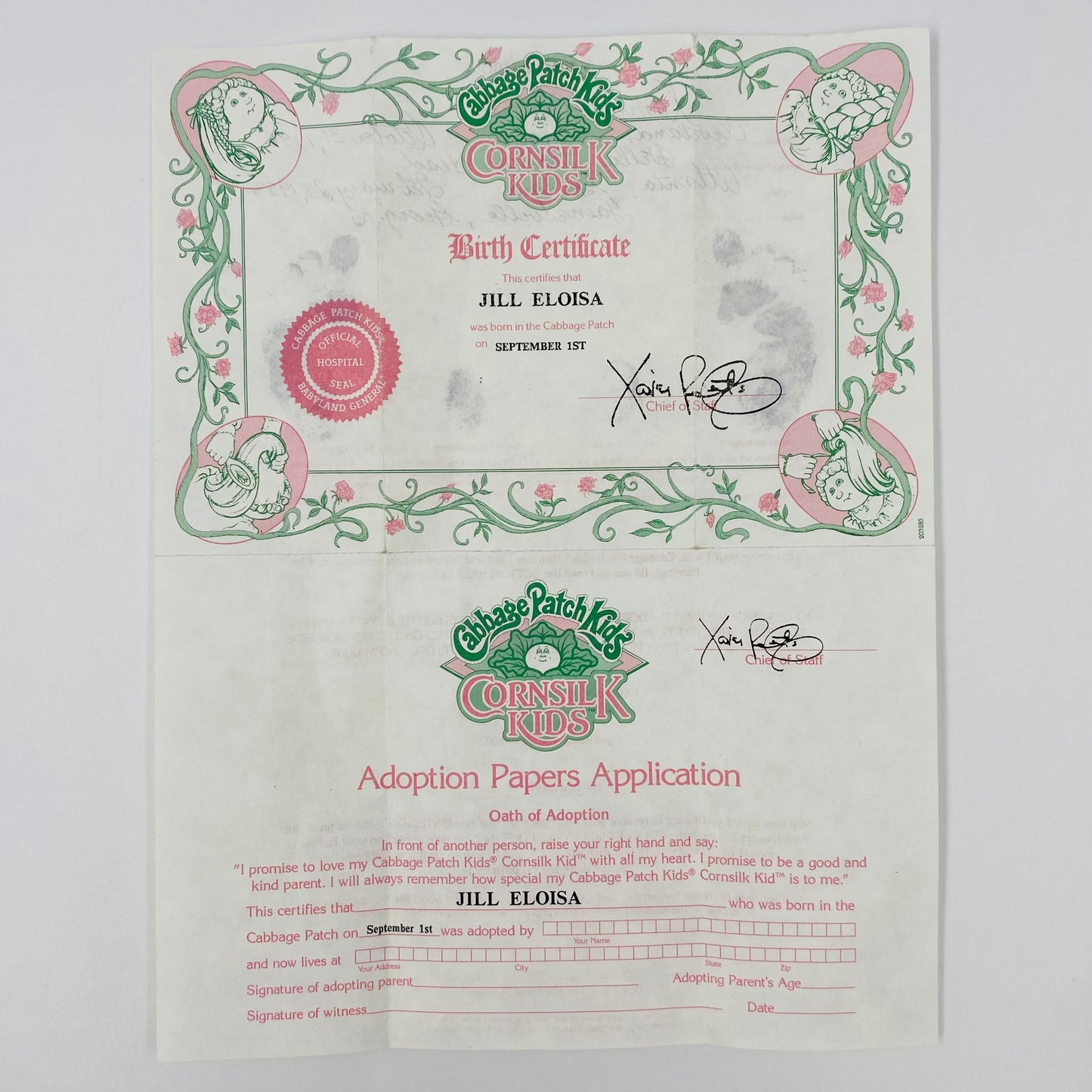 Cabbage Patch Kids Cornsilk Kids Jill Eloisa September 1st Birth Certificate & Adoption Papers Application (1986) Coleco