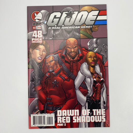 G.I. Joe #43 (2005) Devils Due (FN)