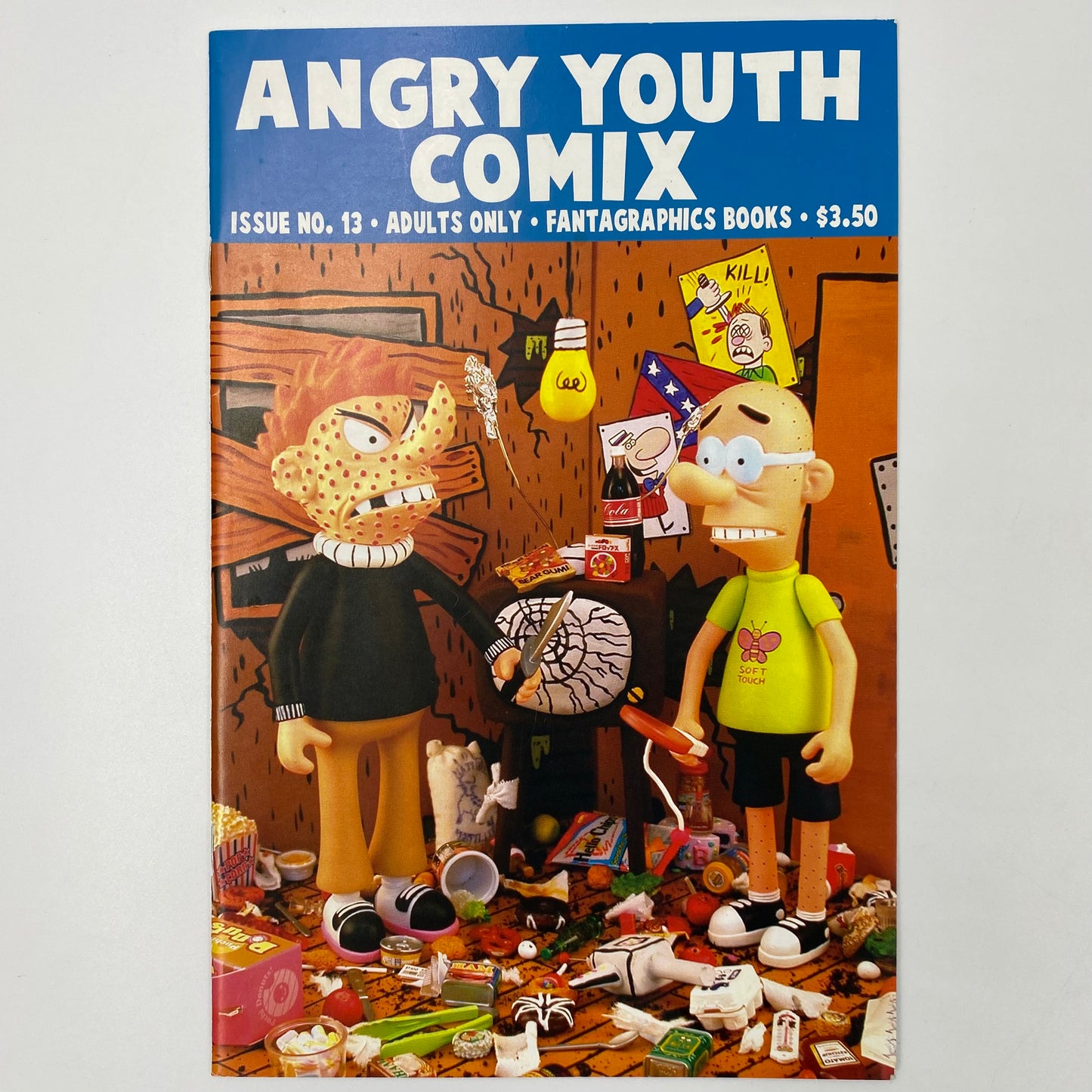 Angry Youth Comix #13 (2007) Fantagraphics (VF)