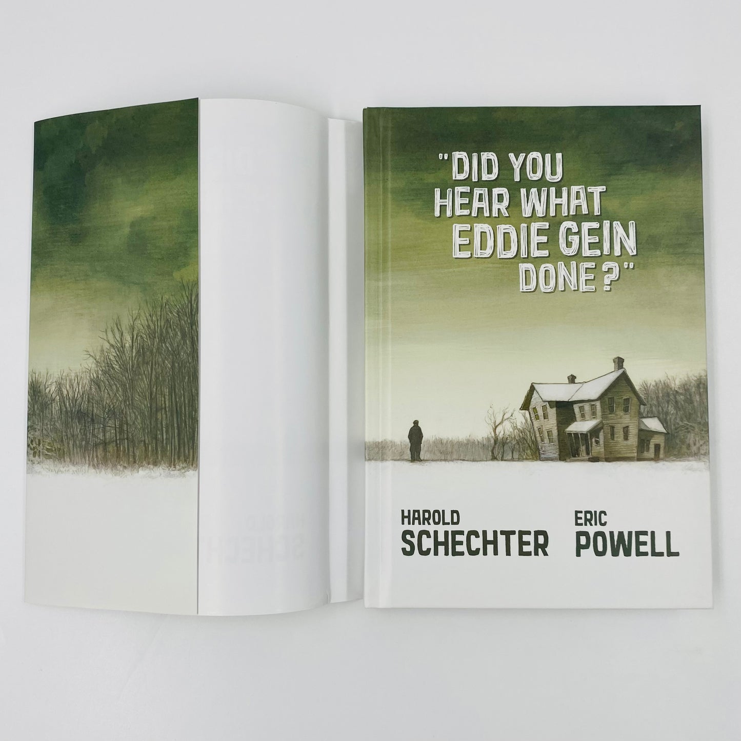 Did You Hear What Ed Gein Done? (2021) Albatross Funnybooks