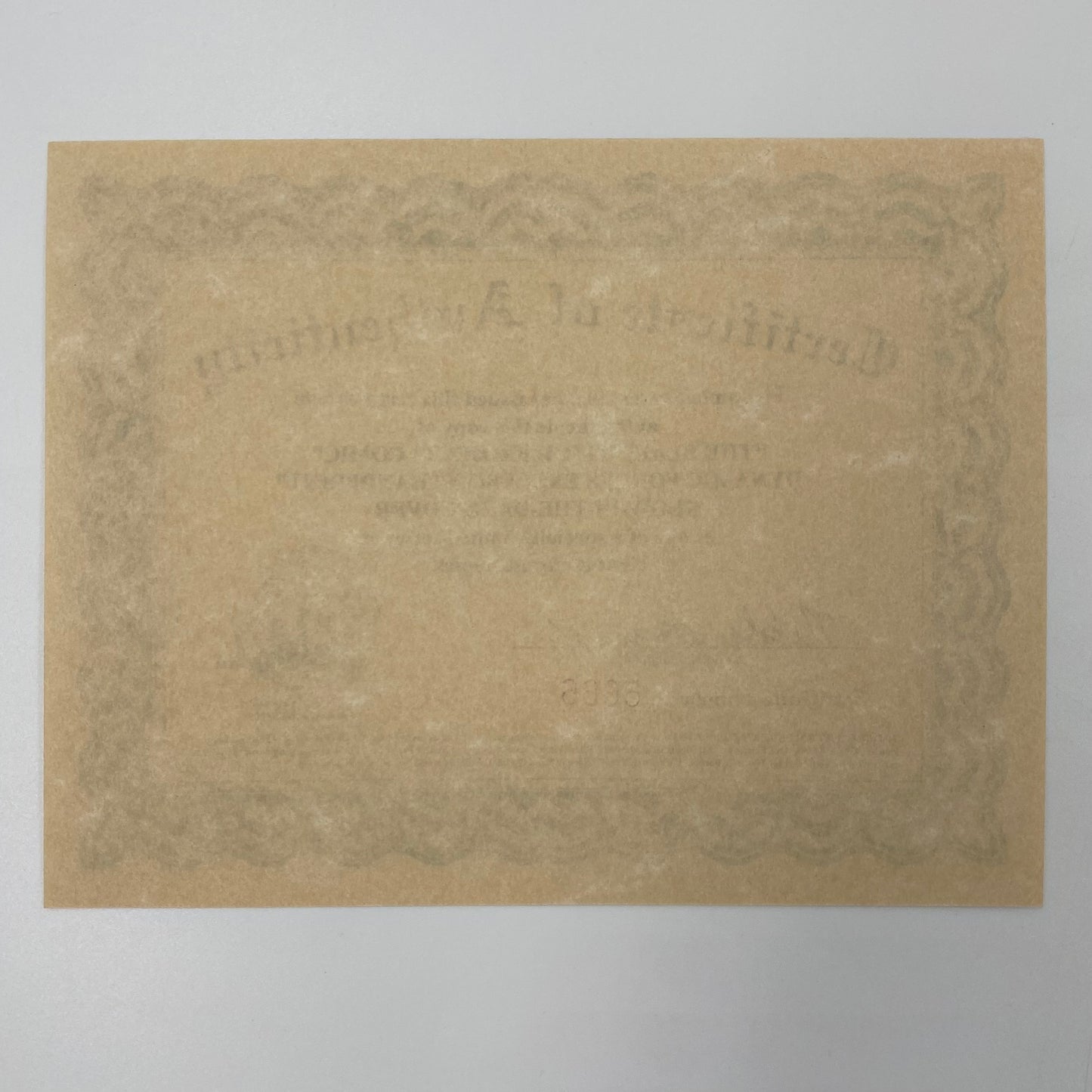 Blair Witch Project (1999) Oni (VF-)