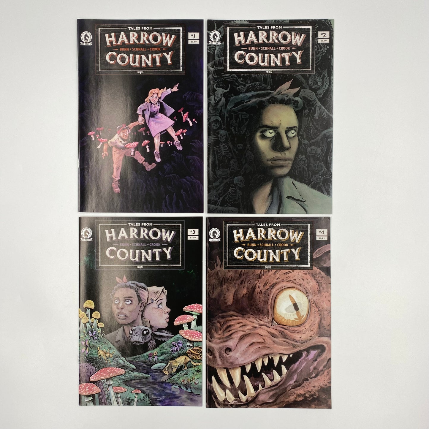 Tales From Harrow County Fair Folk #1-4 (2021) Dark Horse (FN+)