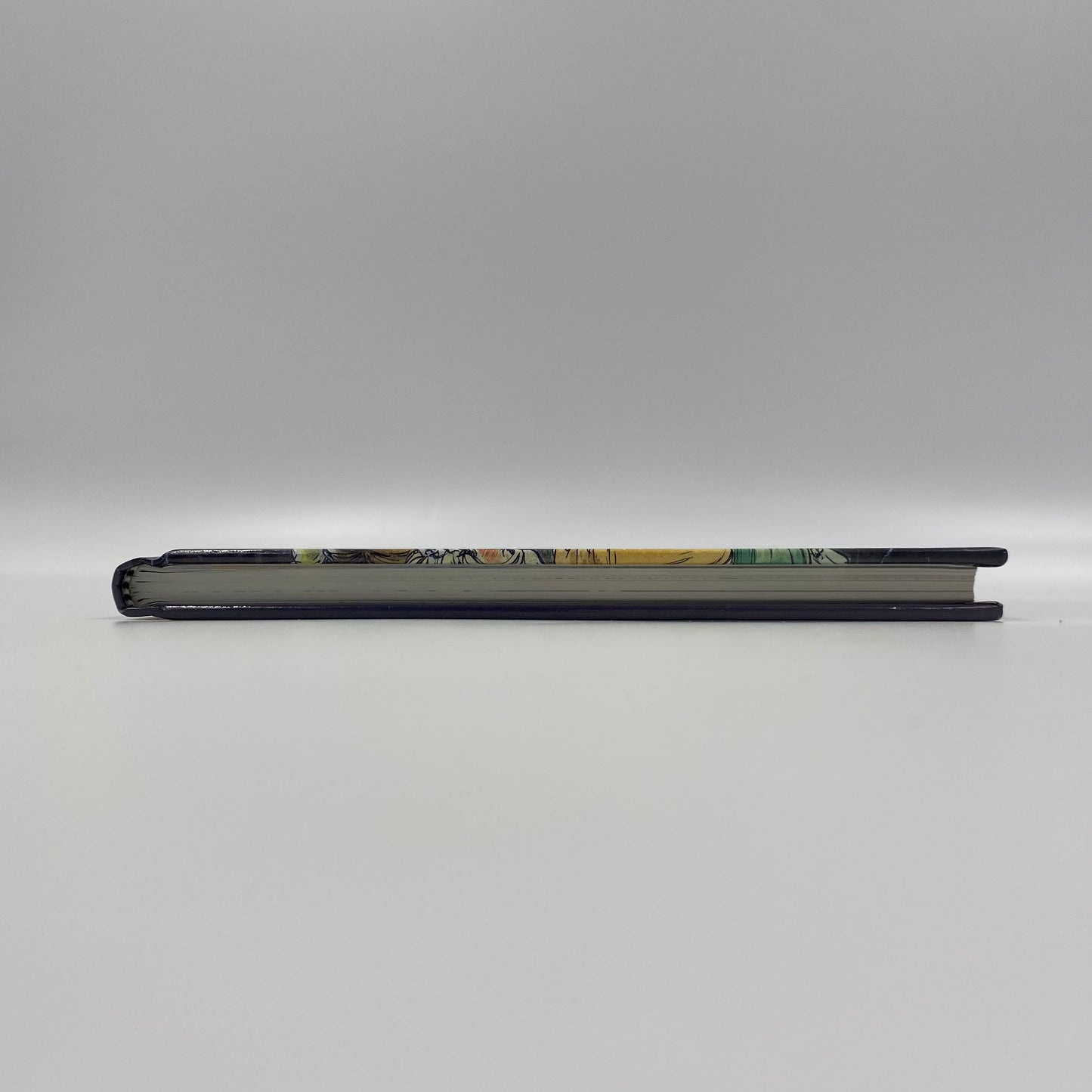 Invisible People Limited Edition Signed Hardcover (1993) Kitchen Sink (SIGNED & NUMBERED)