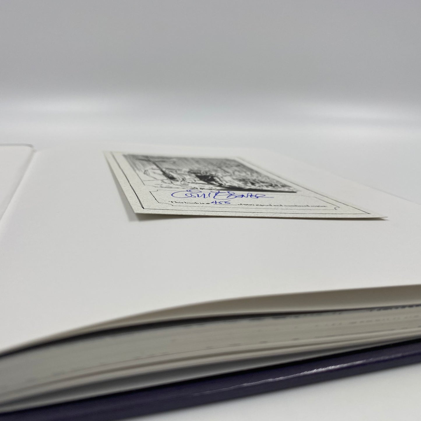 Invisible People Limited Edition Signed Hardcover (1993) Kitchen Sink (SIGNED & NUMBERED)