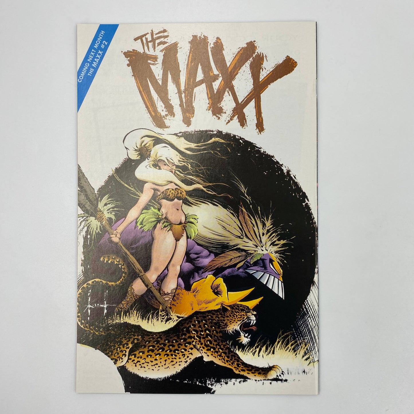 Maxx #1 (1993) Image (FN)