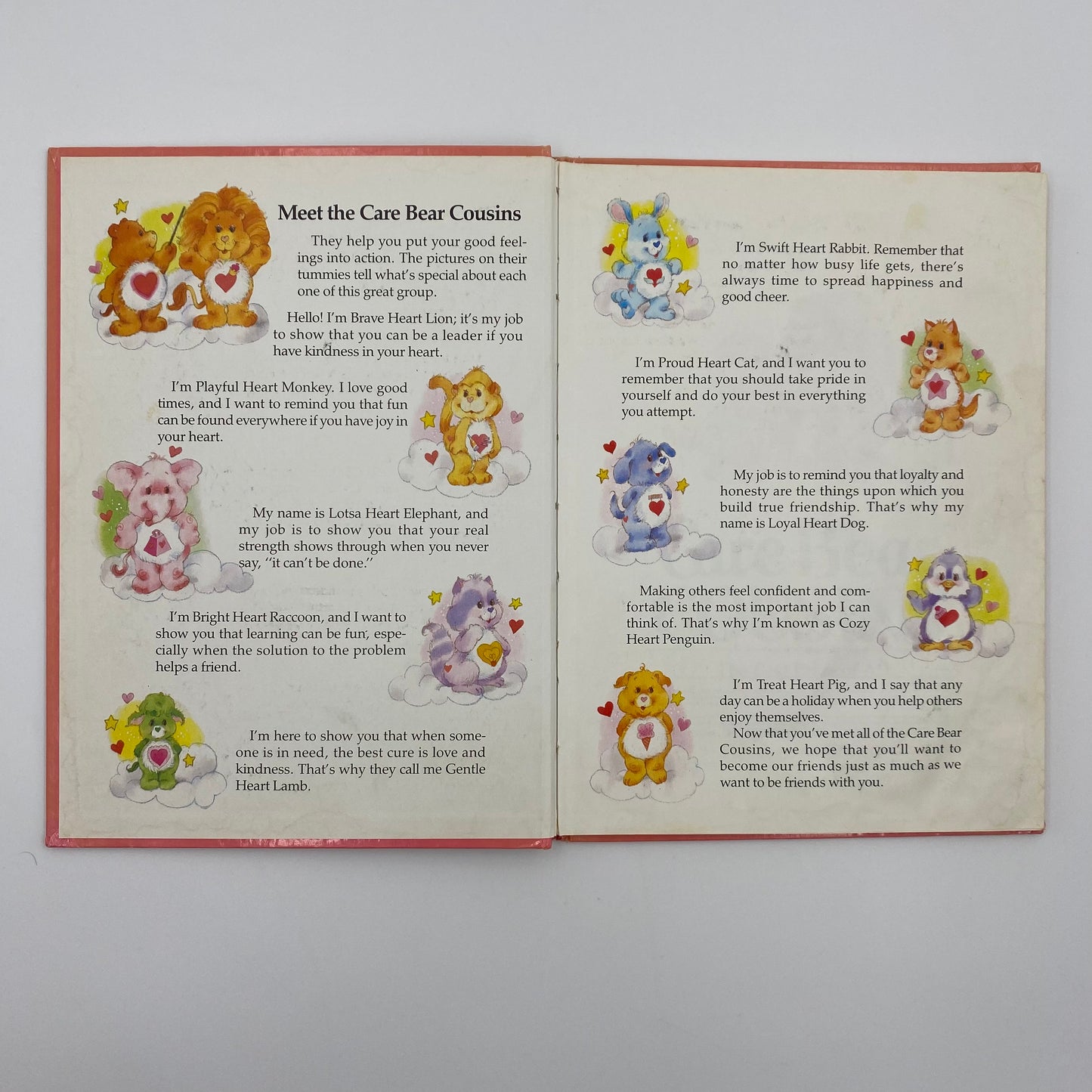 Care Bear Cousins: The Best Prize of All book (1985) A Parker Brothers Story Book