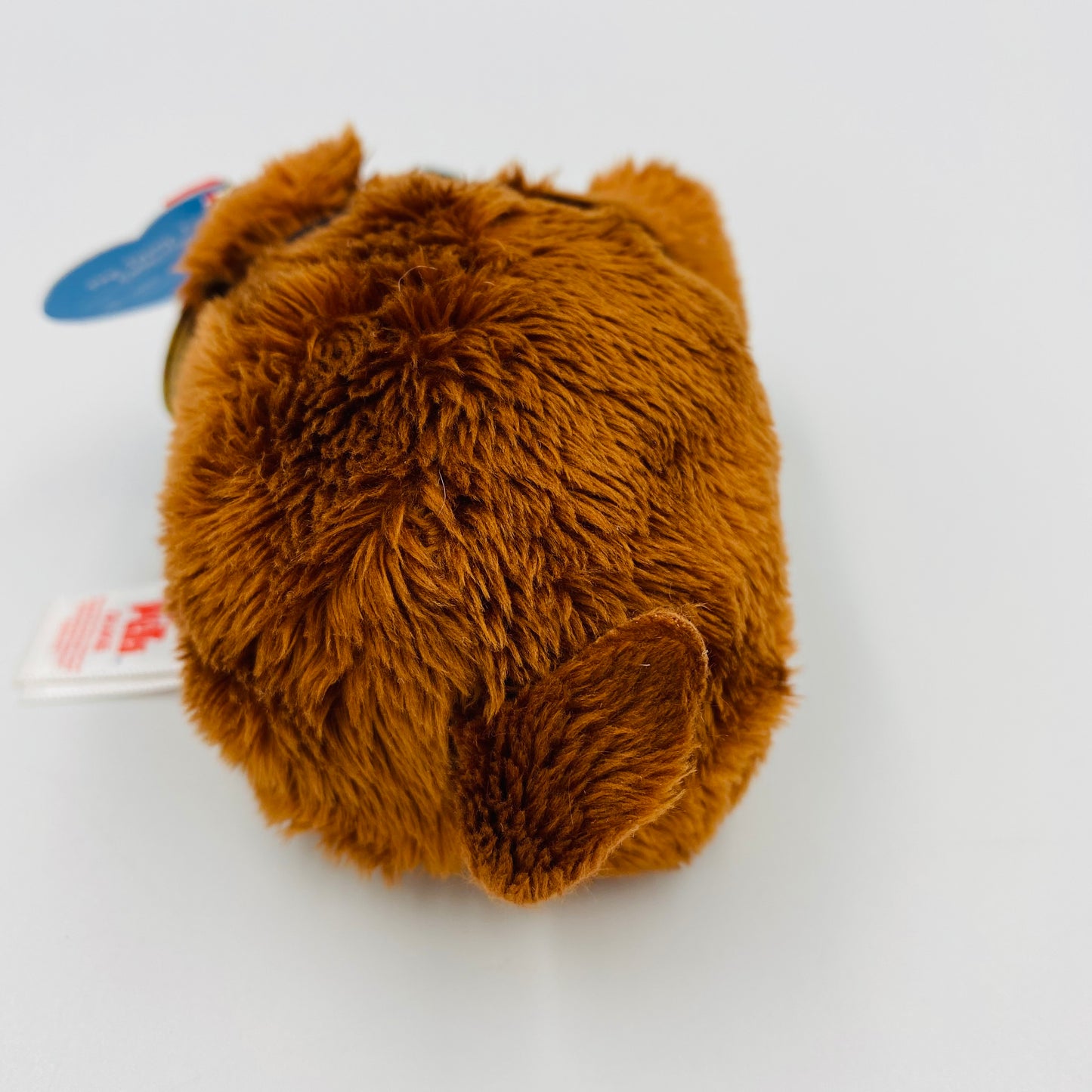 Teeny Tys The Secret Life of Pets Duke beanie plush (2016) ty