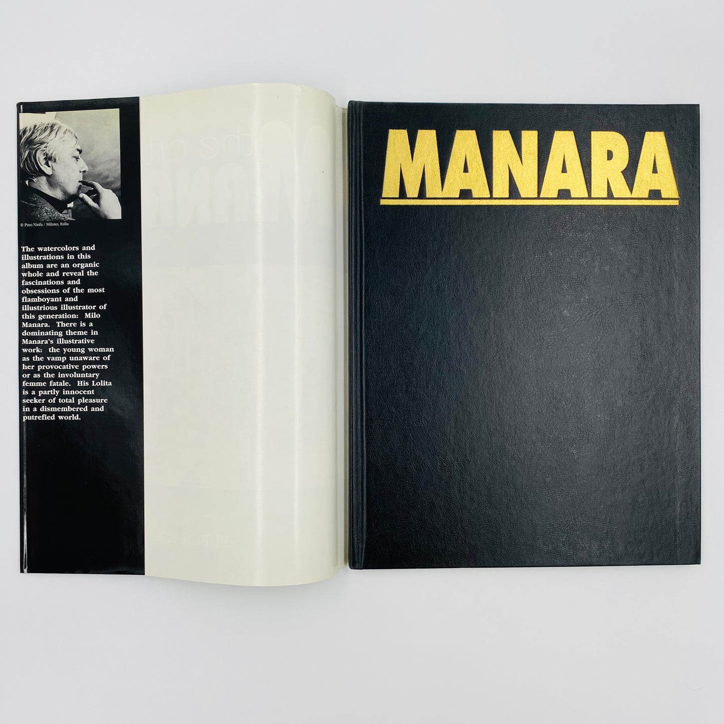 Manara: The Art of Manara first edition hardcover (1994) Eurotica