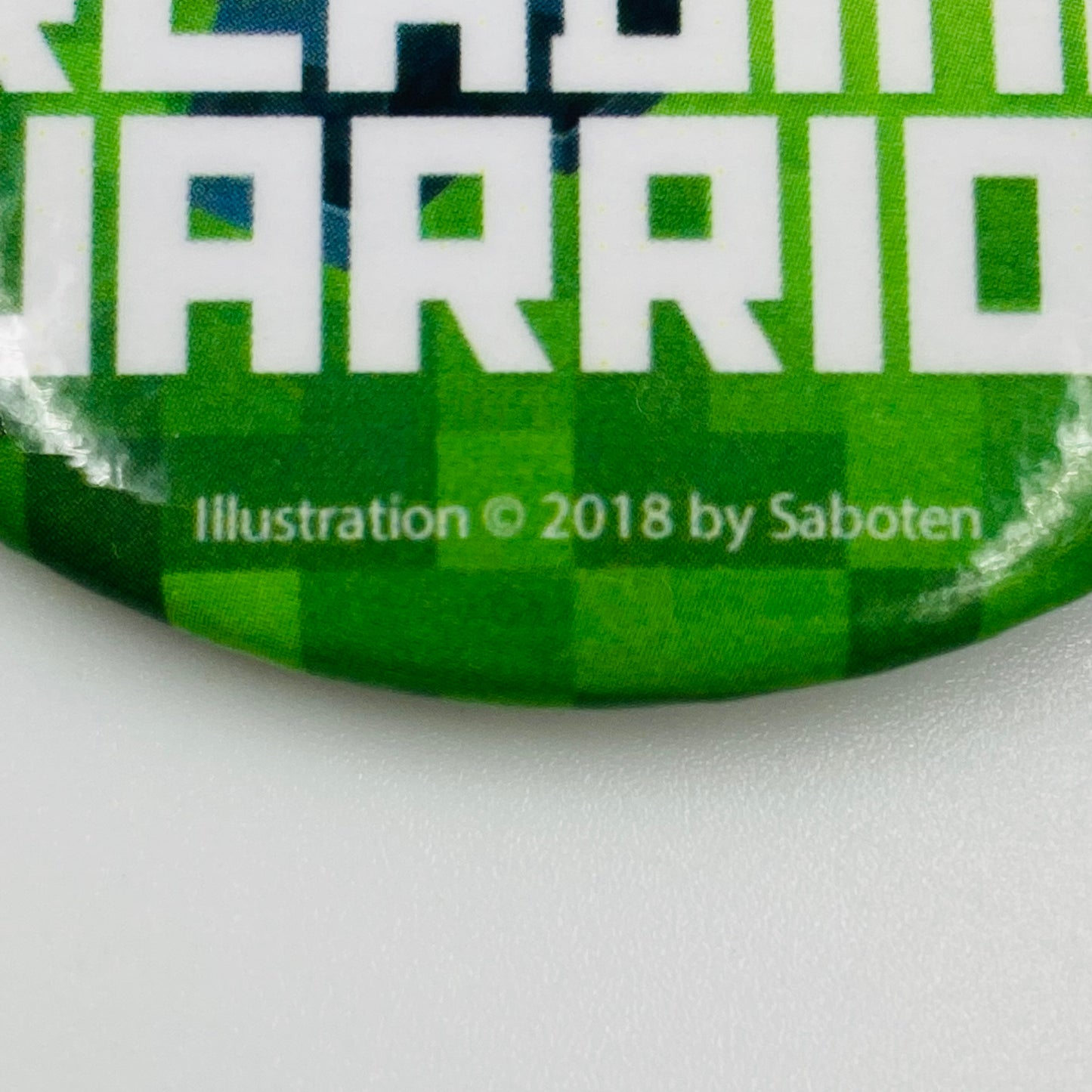 Minecraft Reading Warrior pinback button (2018)